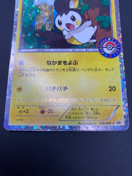 エモンガ ポケモンカード 236/BW-P Pokemon cards promo ポケモン
