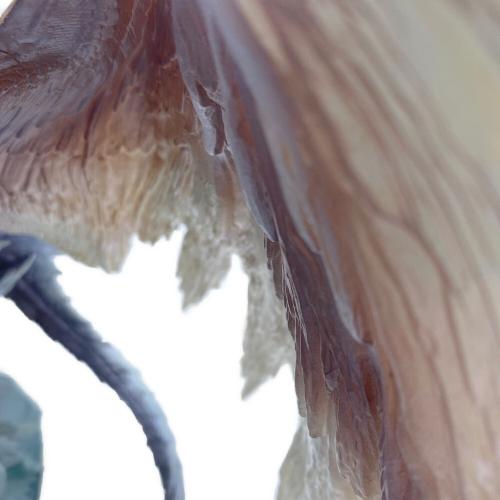 イヴェルカーナ モンスターハンター