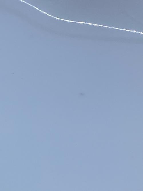 深川製磁 (フカガワセイジ) 鉢 宮内庁御用達