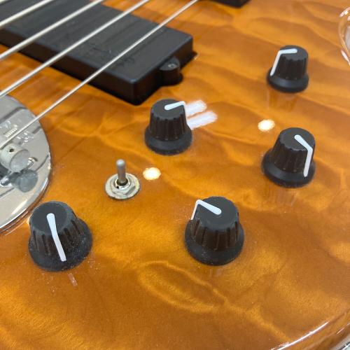 Lakeland (レイクランド) エレキベース SL55-94