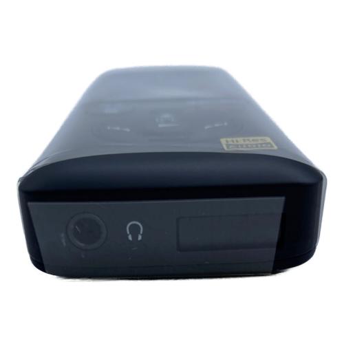 SONY (ソニー) レコーダー PCM-A10