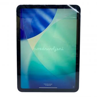 Apple (アップル) iPad(A16) MD3Y4J/A 11インチ