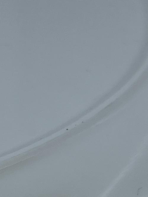 Wedgwood (ウェッジウッド) プレートセット 27cm NATURE