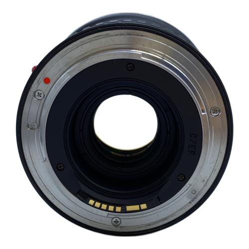 Tokina (トキナー) ズームレンズ AT-X 116 PRO DXⅡ