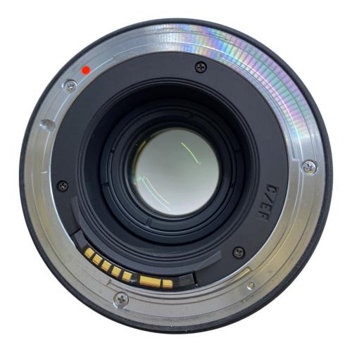 Tokina (トキナー) ズームレンズ AT-X 116 PRO DXⅡ