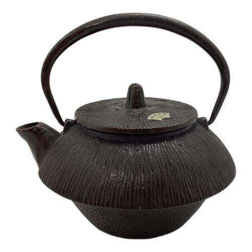 盛栄堂（セイエイドウ）　南部鉄器 急須