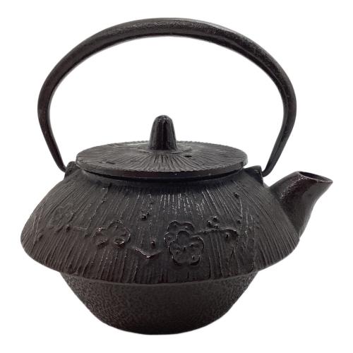 盛栄堂（セイエイドウ）　南部鉄器 急須