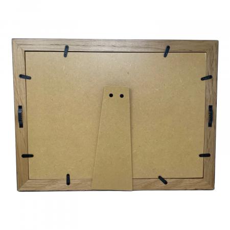 チーバくん ゆめ半島 千葉国体＋千葉大会 2010 額｜トレファクONLINE