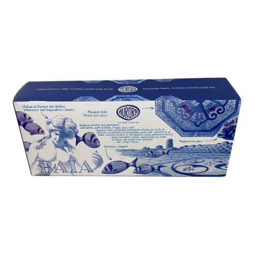 AURORA (アウロラ) 万年筆 ブルー 888-VNA ヴィアッジオセグレート バイア