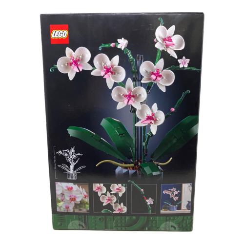 レゴブロック 胡蝶蘭　ボタニカルコレクション　オーキッド