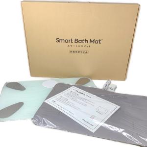 issin (イッシン) スマートバスマット体組成計モデル SBM24W01