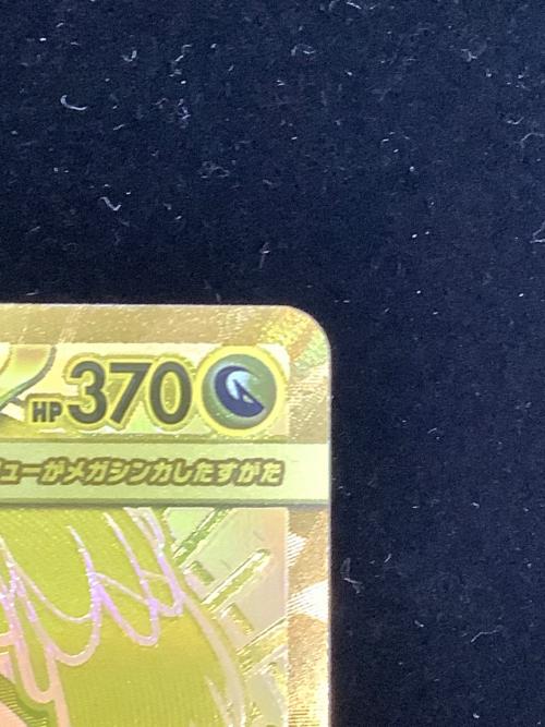 メガカイリュー ex ポケモンカード 250/193 mur @