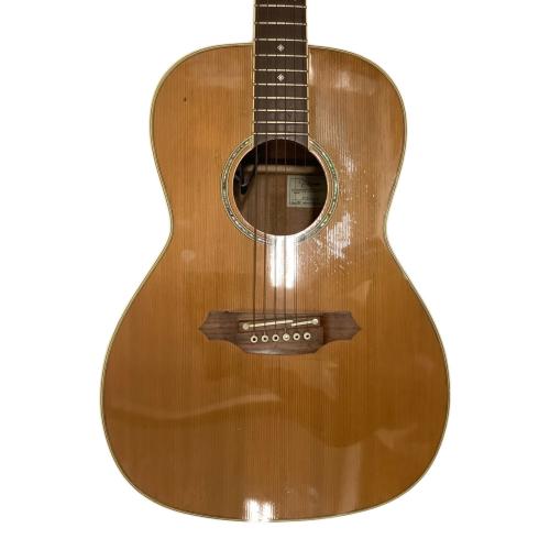 Takamine (タカミネ) エレクトリックアコースティックギター PTU410N