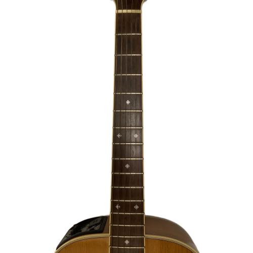 Takamine (タカミネ) エレクトリックアコースティックギター PTU410N