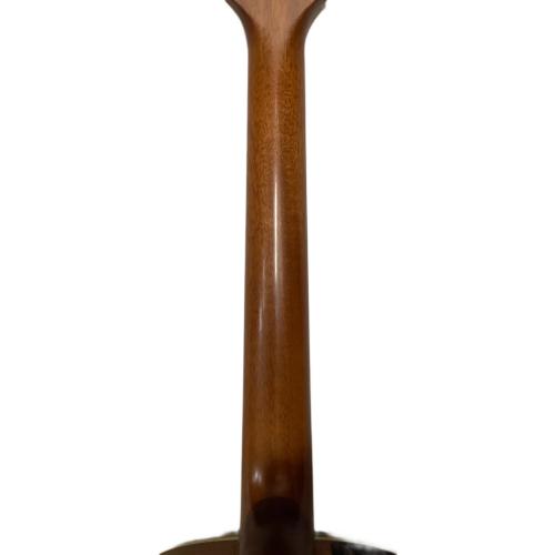 Takamine (タカミネ) エレクトリックアコースティックギター PTU410N