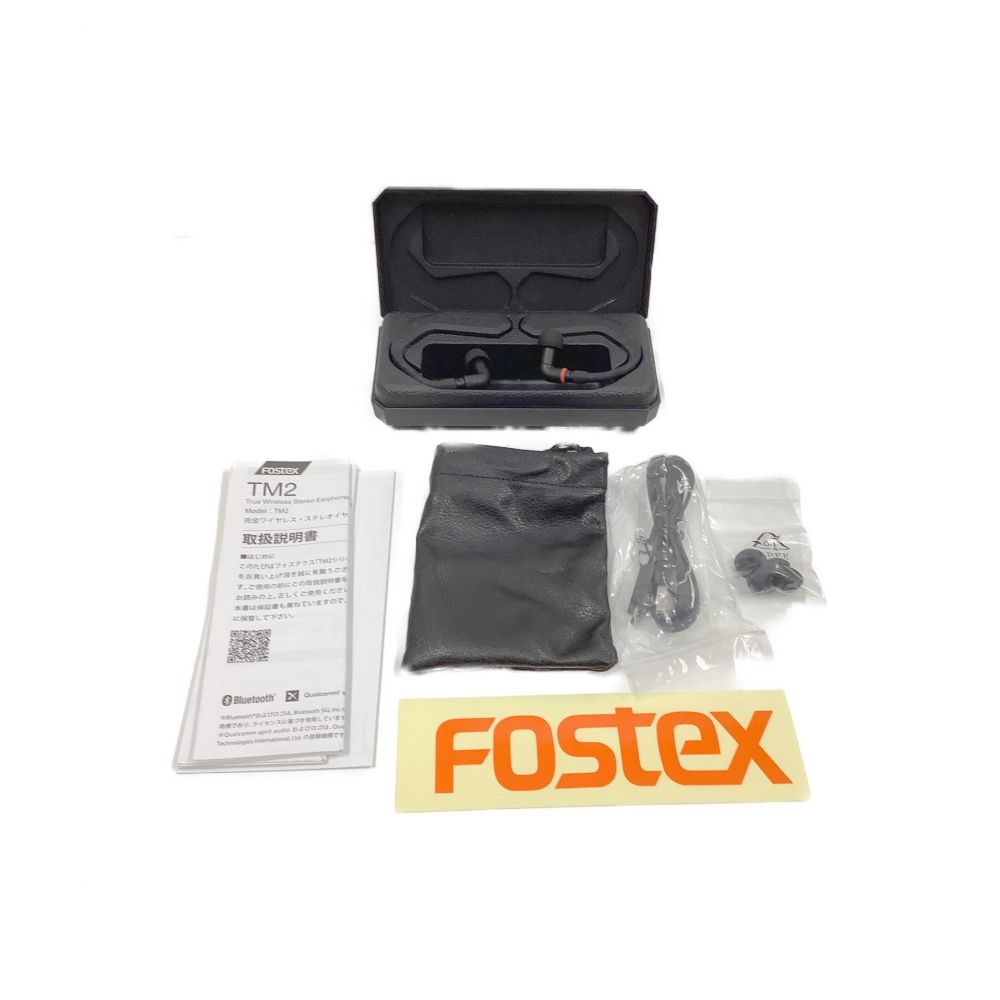 Fostex (フォステクス) ワイヤレスイヤホン TM2 721057GO｜トレファク