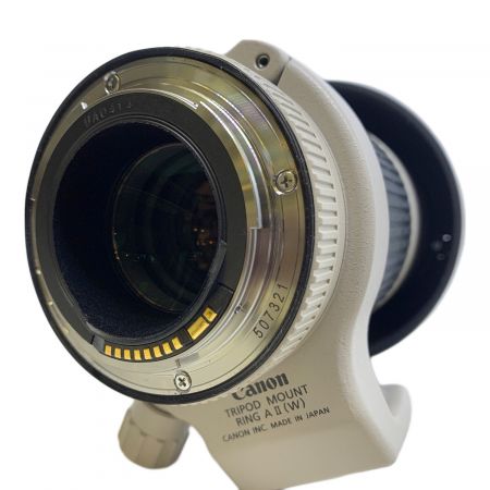 CANON (キャノン) 望遠ズームレンズ USM ULTRASONIC 70-200mm