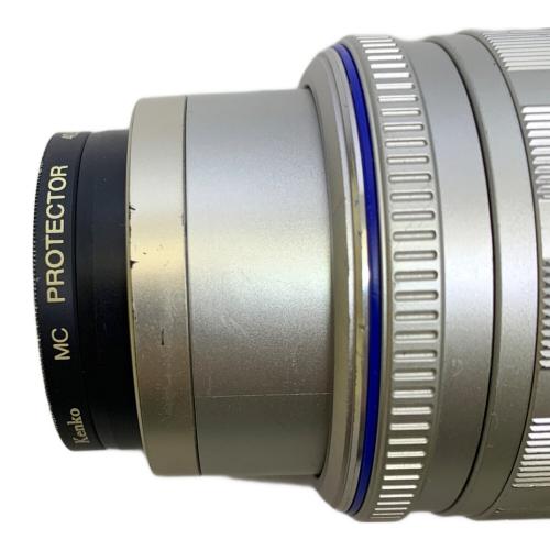 OLYMPUS (オリンパス) ミラーレス一眼カメラ E-PL1