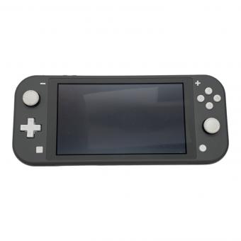 Nintendo (ニンテンドウ) Nintendo Switch Lite HDH-001 動作確認済み XJJ10023050036