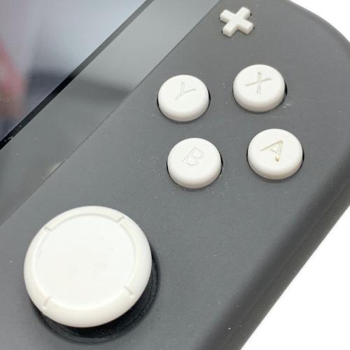 Nintendo (ニンテンドウ) Nintendo Switch Lite HDH-001 動作確認済み XJJ10023050036
