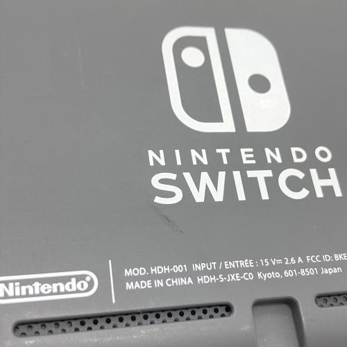 Nintendo (ニンテンドウ) Nintendo Switch Lite HDH-001