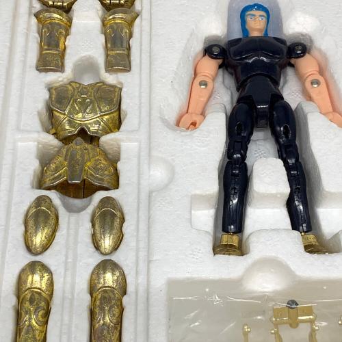 BANDAI (バンダイ) 聖闘士星矢 聖闘士聖衣大系 アクエリアスクロス(水瓶座のカミュ) ※塗装剥げ/箱ダメージ有