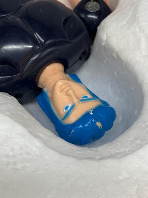 BANDAI (バンダイ) 聖闘士星矢 聖闘士聖衣大系 アクエリアスクロス(水瓶座のカミュ) ※塗装剥げ/箱ダメージ有