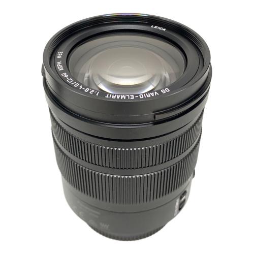 Panasonic (パナソニック) 標準ズームレンズ H-ES12060 LEICA DG VARIO-ELMARIT