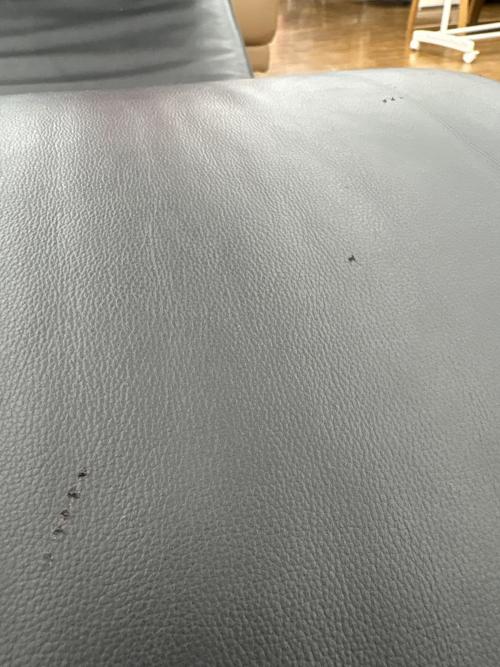 シェーズロング LC4 リプロダクト ブラック