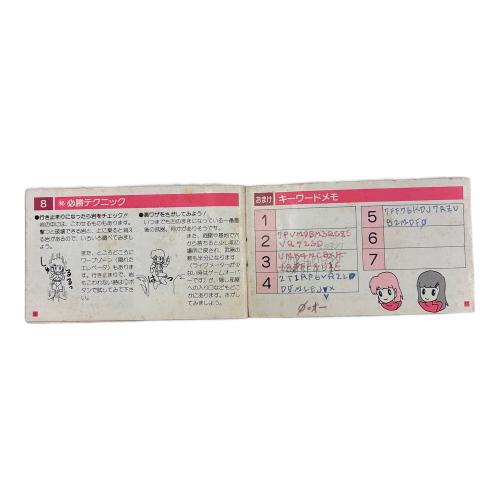 レイラ ファミコン用ソフト ※キズ・ヨゴレ有 -