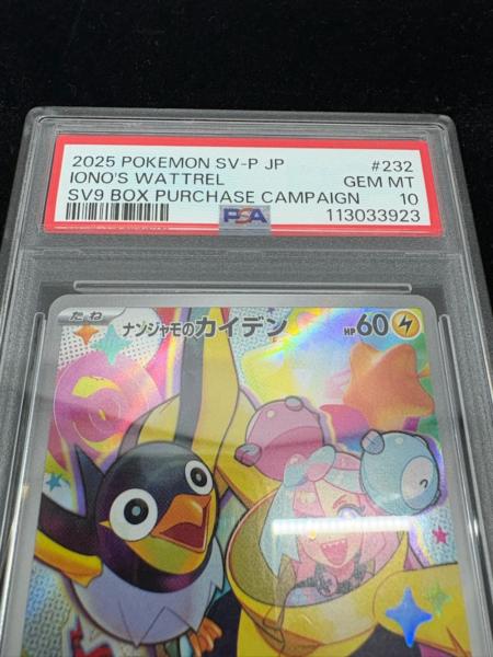 PSA10オーダイル/プロモ/イラコン2024】241/SV-P3連番 ポケモンカードゲーム 241/SV-P オーダイル 水 (PROMO プロモ