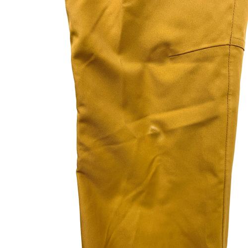 HOLDEN (ホールデン) スノーボードウェア(パンツ) メンズ SIZE M キャメル