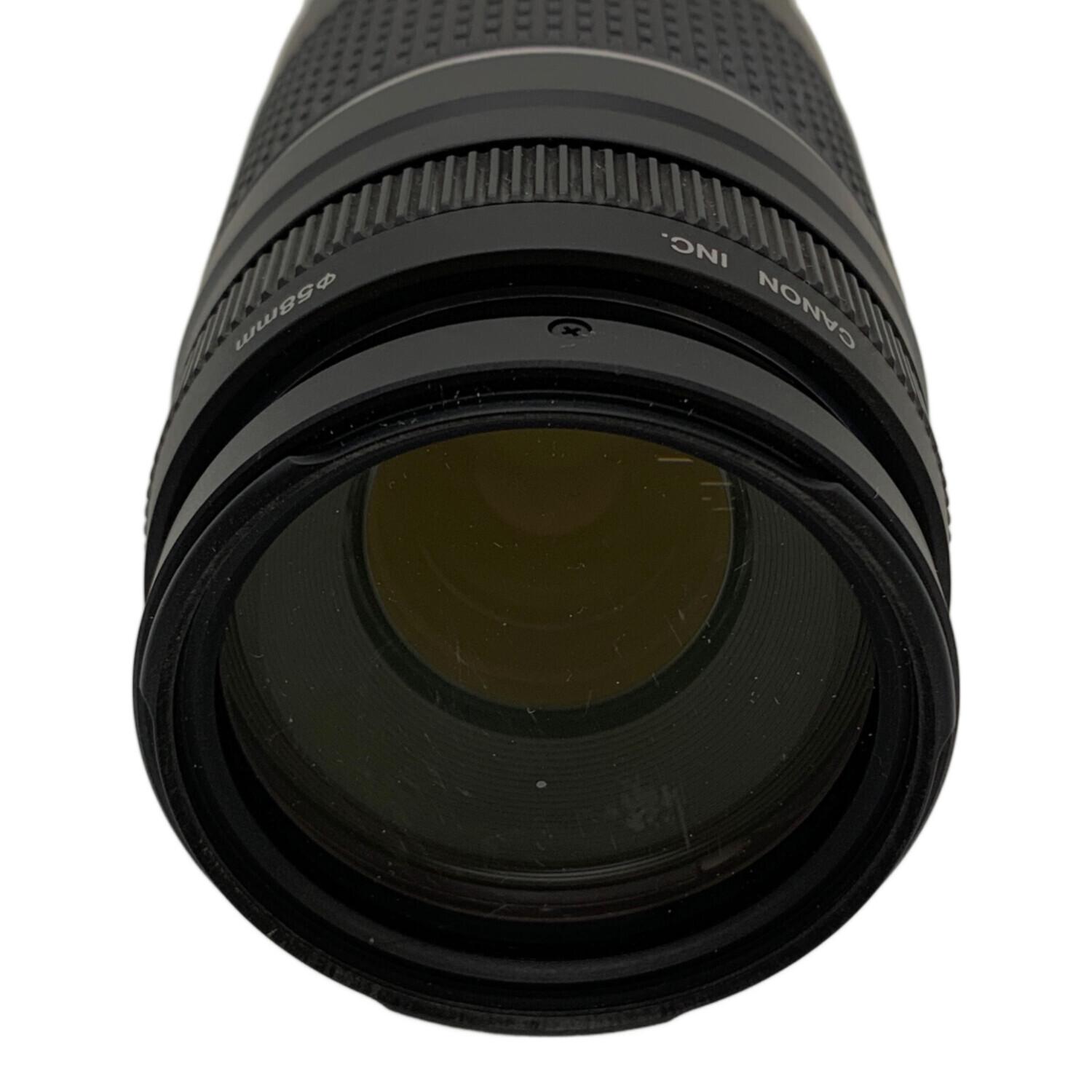 CANON (キヤノン) 望遠レンズ 劣化・ベタツキ有 EF75-300mm F4-5.6 IS