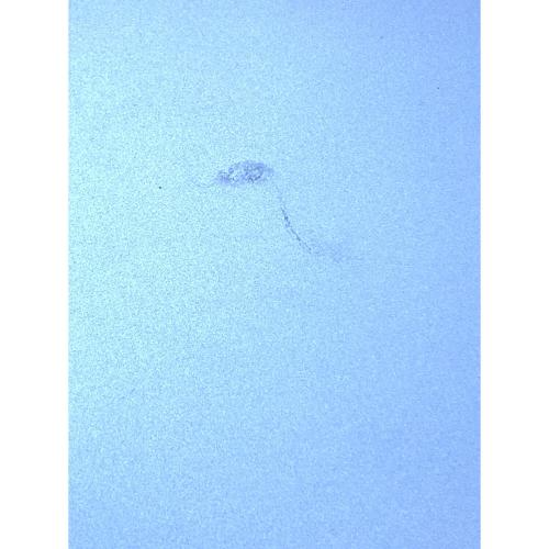 Apple (アップル) iPad(第10世代) MPQ93J/A Wi-Fiモデル 修理履歴無し 256GB 2022年発売 程度:Bランク サインアウト確認済 NCFQHHP7CM