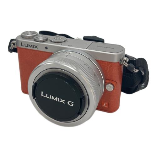 Panasonic (パナソニック) デジタル一眼レフカメラ DMC-GM1