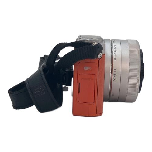 Panasonic (パナソニック) デジタル一眼レフカメラ DMC-GM1