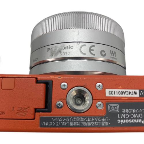 Panasonic (パナソニック) デジタル一眼レフカメラ DMC-GM1