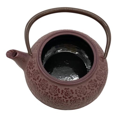 南部鉄器 (ナンブテッキ) 急須