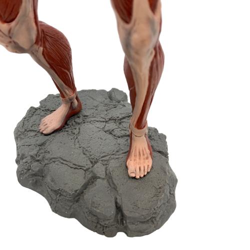 進撃の巨人 (シンゲキノキョジン) 【開封品】女型の巨人 フィギュア MEGAIMPACT @ 進撃の巨人～壁の外の世界～ A賞