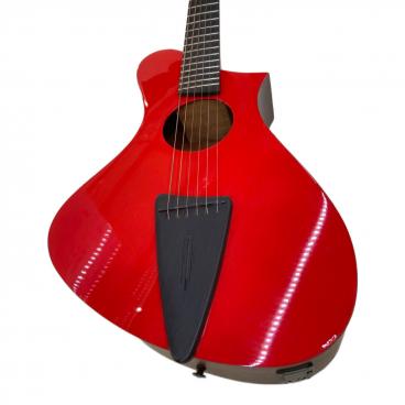 安心の30日間保証付き！ Takamine エレアコギター ハードケース付き