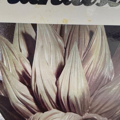 BANPRESTO (バンプレスト) 孫悟空 ドラゴンボール Resolution of Soldiers  @ Grandista