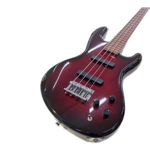 EDWARDS (エドワーズ) オリジナルスリムシェイプ エレキベース E-NA-98 SIAM SHADE NATCHINモデル