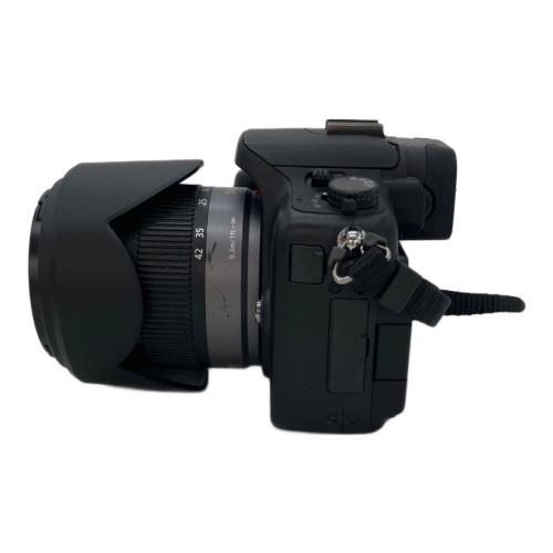 Panasonic (パナソニック) デジタルカメラ DMC-G2 LUMIXG2