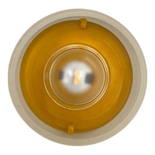 Snow peak (スノーピーク) LEDランタン ES-040 たねほおずき