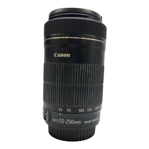 CANON (キャノン) ズームレンズ チリ混入有 55-250ｍｍ 4-5.6 4031129286