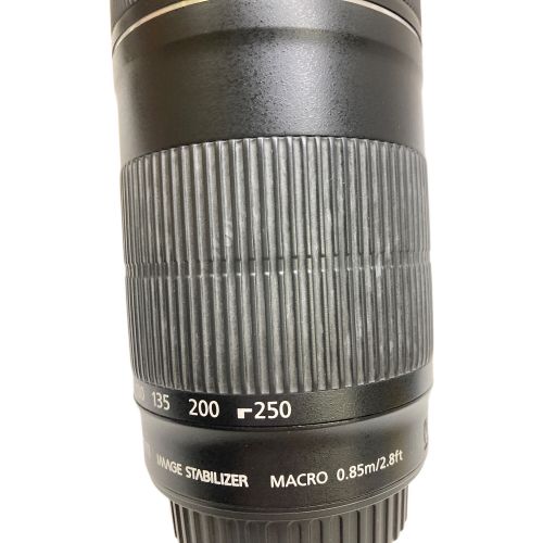 CANON (キャノン) ズームレンズ チリ混入有 55-250ｍｍ 4-5.6 4031129286