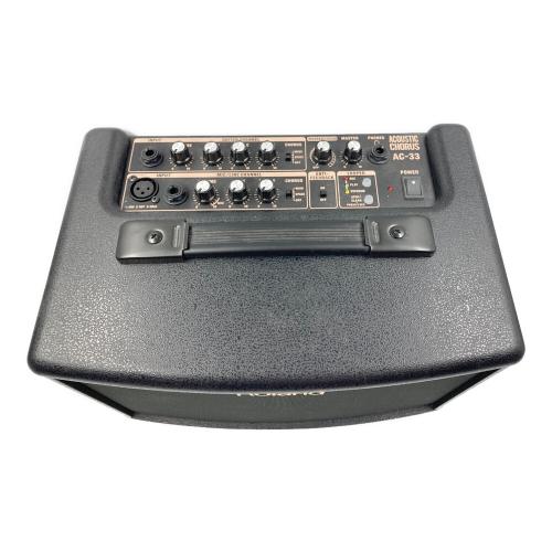 ROLAND (ローランド) アコースティックギターアンプ AC-33
