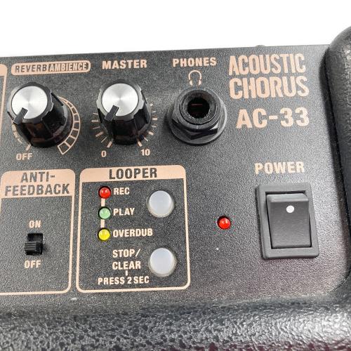 ROLAND (ローランド) アコースティックギターアンプ AC-33