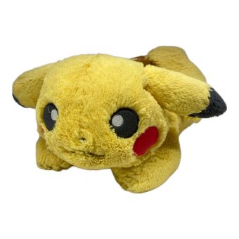 Pokemon Center (ポケモンセンター) ふわふわ抱きぬいぐるみピカチュウ 全体にヘタリ・使用感有 2019ポケモンセンター限定