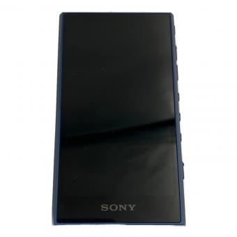 SONY (ソニー) WALKMAN NW-A307 YY2010854